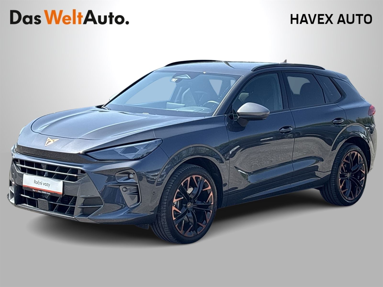 Cupra Terramar 2.0 TSI 204k DSG 4WD