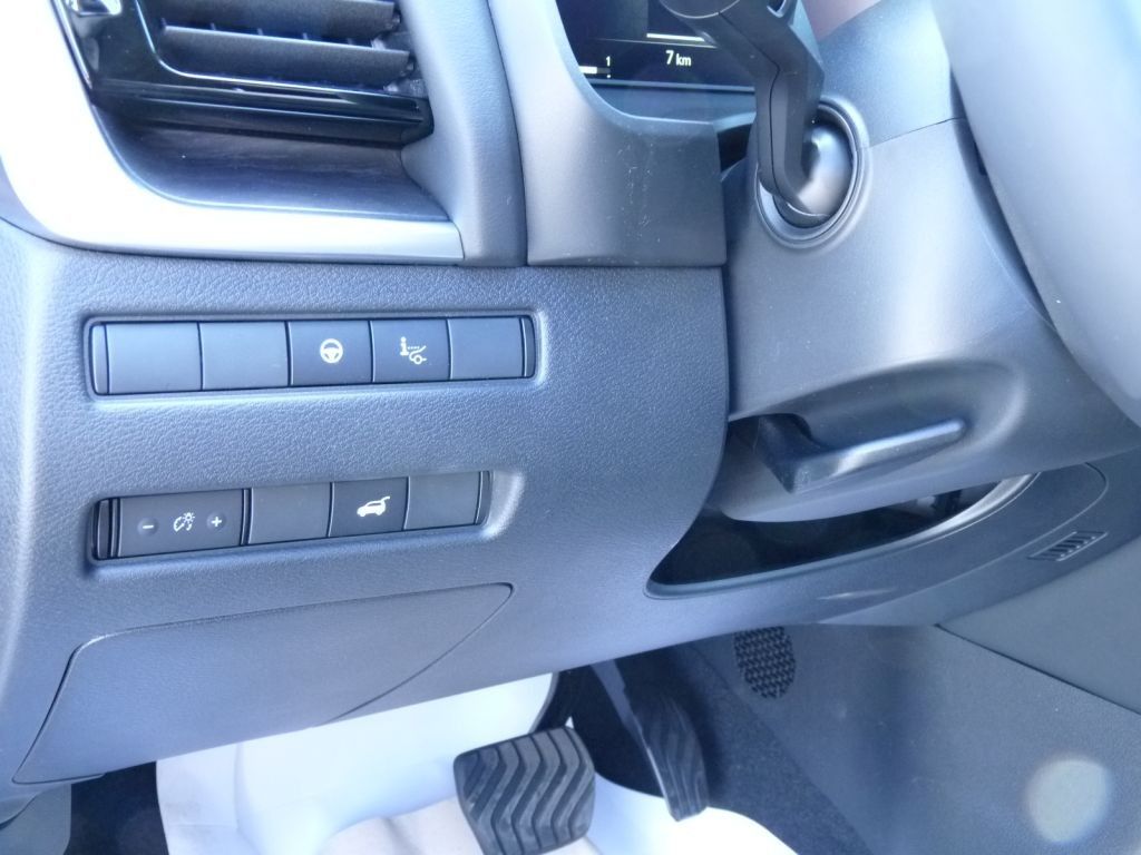Nissan X - Trail