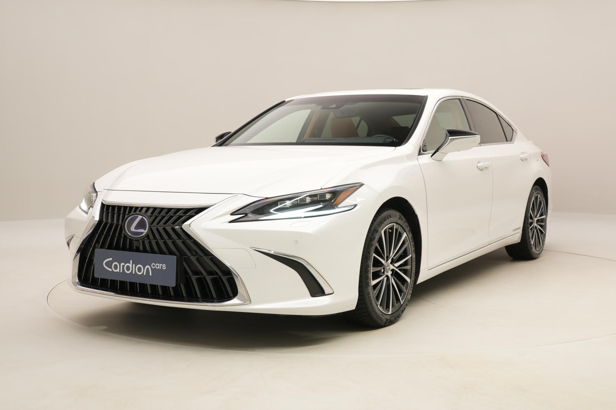 Lexus 2.5 HEV AUT CZ