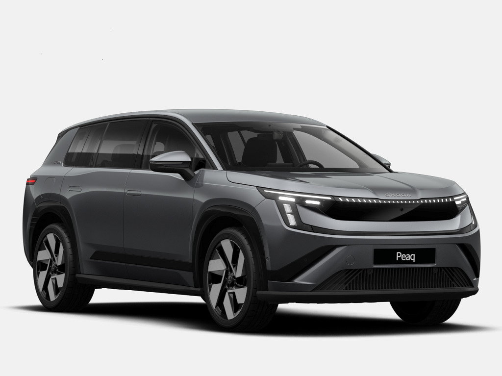 Škoda Exclusive Selection 91kWh 220kW