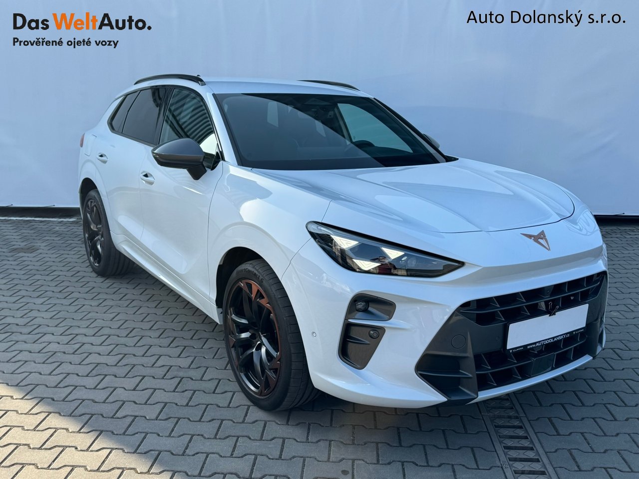 Cupra CUPRA Terramar