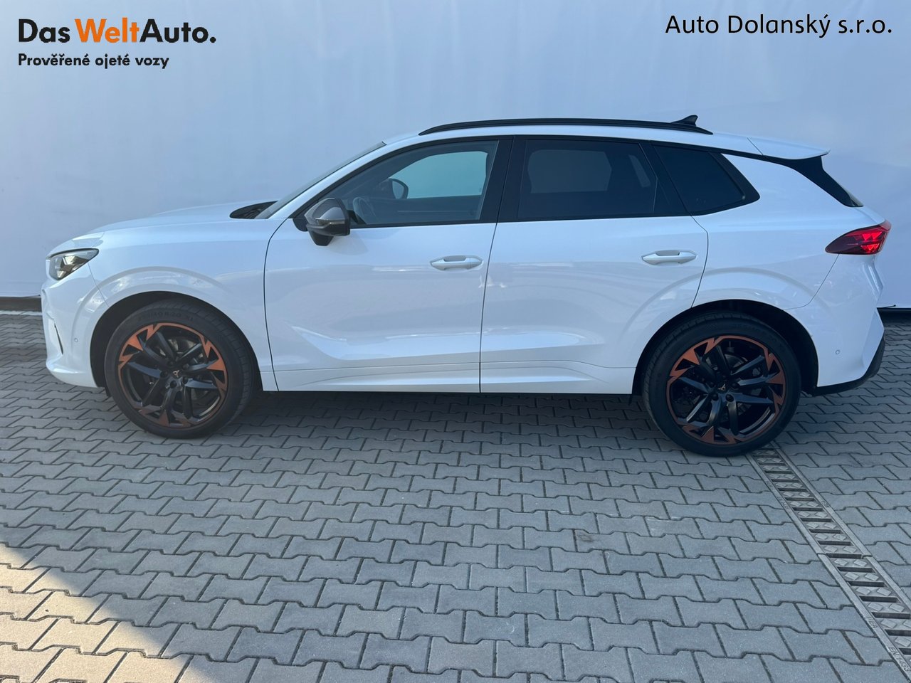 Cupra CUPRA Terramar