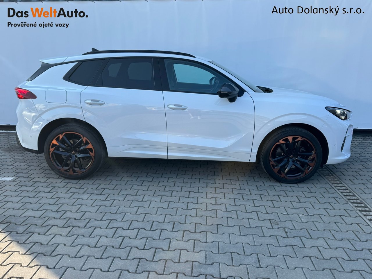 Cupra CUPRA Terramar