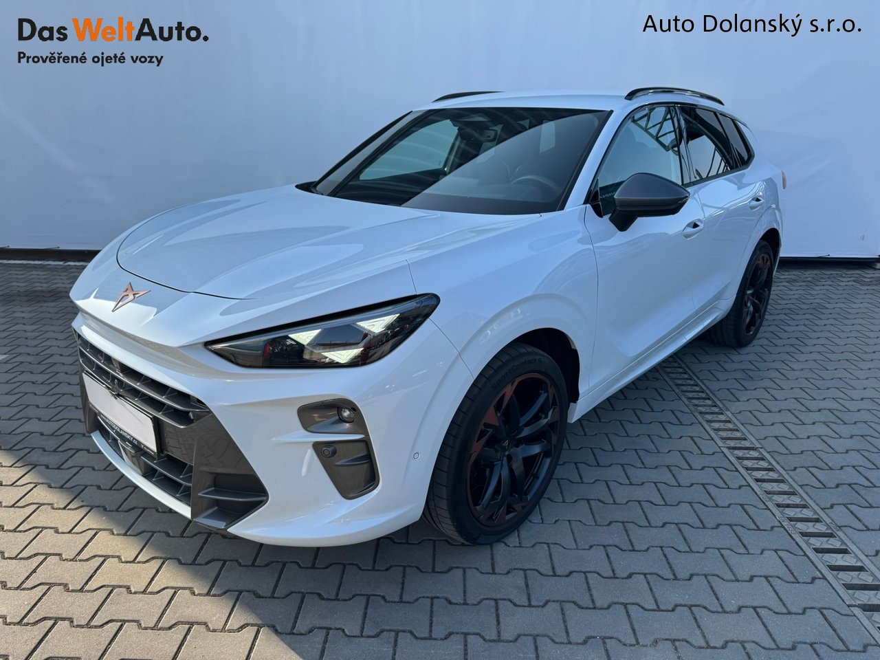 Cupra CUPRA Terramar